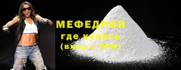 индика Бронницы